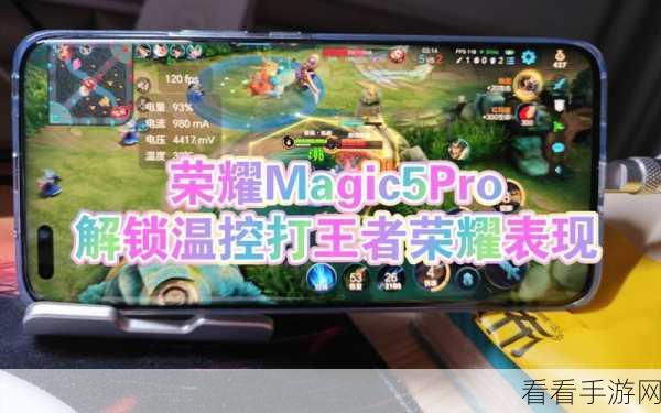 王者荣耀，解锁顶尖辅助秘籍，助你赛场称雄