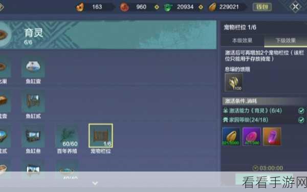 妄想山海手游背包管理秘籍，丢弃操作详解与高效整理攻略