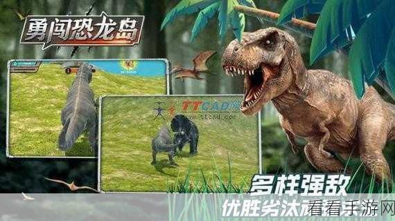 恐龙岛称霸攻略，揭秘高效升级恐龙等级与进阶秘籍