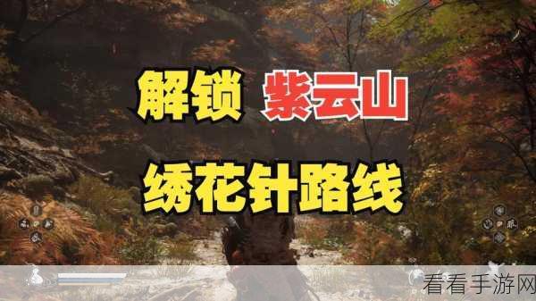 黑神话，悟空绣花针获取攻略大揭秘