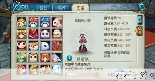诛仙手游深度攻略，揭秘镜中幻境200层通关秘籍