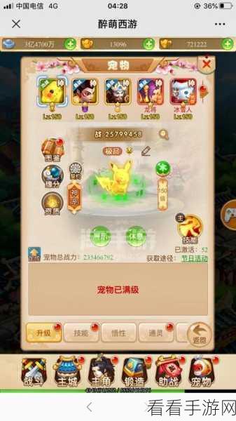大圣轮回，宠物属性全解析，打造最强战斗伙伴！