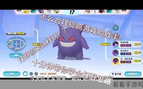 宝可梦大集结，对战道具深度剖析，赛场称霸秘籍