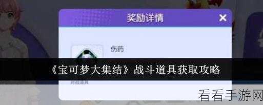 宝可梦大集结，对战道具深度剖析，赛场称霸秘籍
