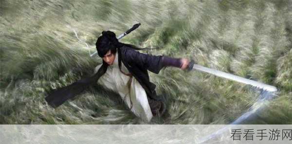 烬邪传奇，武义九州中的暗黑剑客崛起