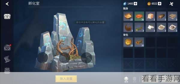 手游攻略，揭秘冰原守卫者中火龙晶的终极用法