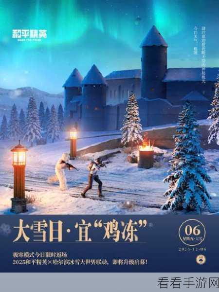 和平精英极寒模式全面解析，解锁冰雪挑战，征服极寒之地！