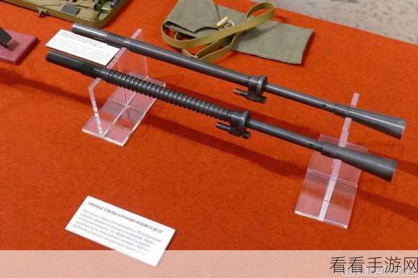SKY 手持 DP 轻机枪称霸战场，被低估的神器