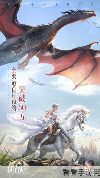 封龙战纪，深度评测与攻略指南