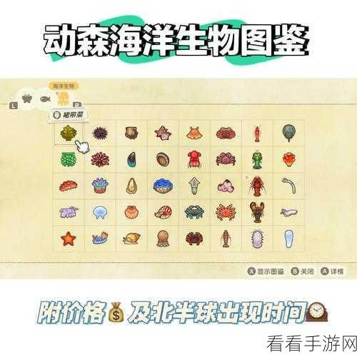 苍龙海洋美食盛宴，元气动森进阶食谱大揭秘