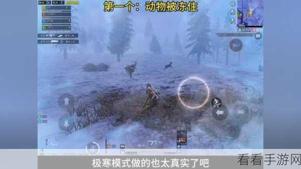 和平精英新版震撼发布，极寒模式与圣诞庆典同步开启，惊喜连连！