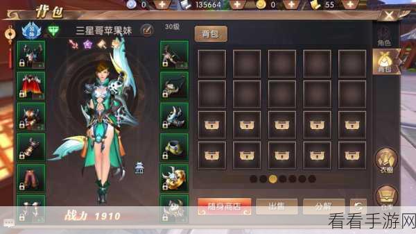 药师职业全揭秘，轩辕传奇手游中的治愈大师与战斗策略