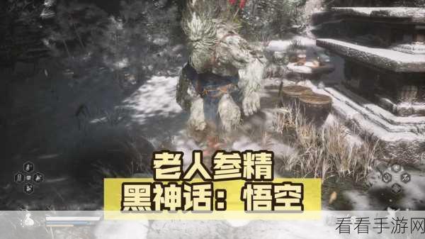 黑神话，悟空揭秘！老人参精BOSS隐藏位置全攻略