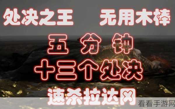艾尔登法环高手进阶，精准处决技巧与按键操作全揭秘