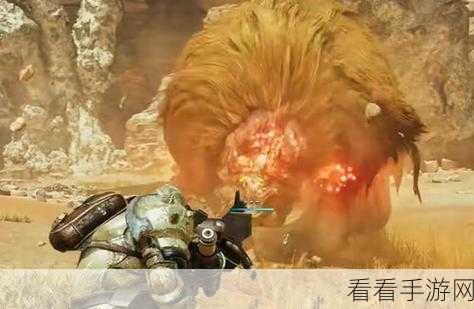 手游资讯，怪物猎人P3狩猎笛加血神器揭秘与实战技巧大公开