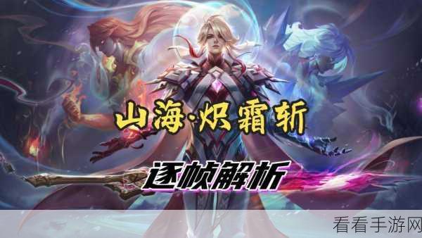 李信皮肤全解析，华丽外观与绝佳手感的深度探索