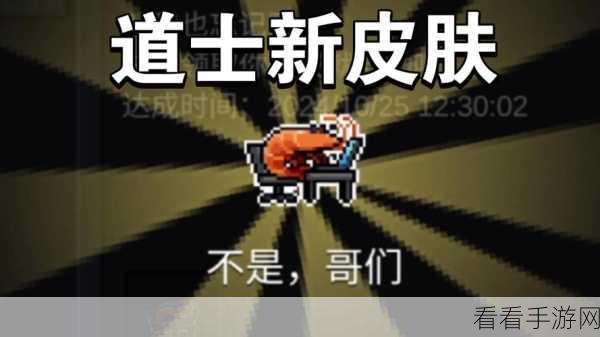 元气骑士道士一技能深度解析，解锁战斗潜能的必胜秘籍