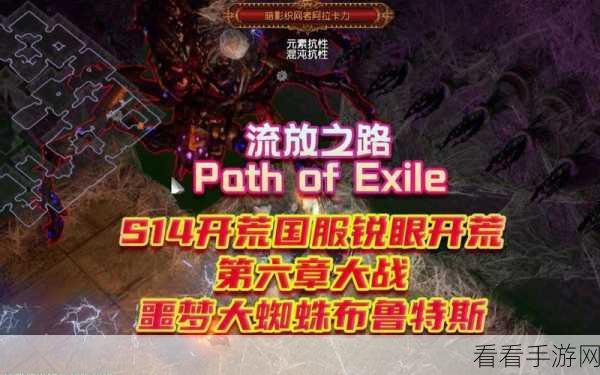 蜘蛛称霸 S14 赛季下路的通用秘籍