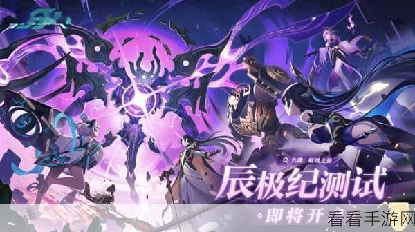 九畿，岐风之旅深度成长攻略，解锁传统文化，打造个性化华章之旅