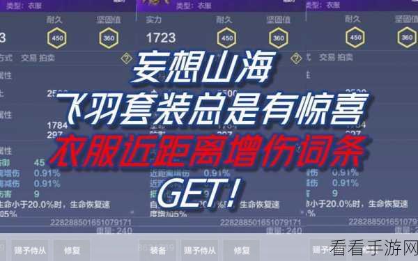 妄想山海深度攻略，毕方装备性能全揭秘及实战搭配秘籍