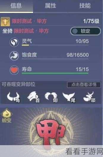 妄想山海深度攻略，毕方装备性能全揭秘及实战搭配秘籍