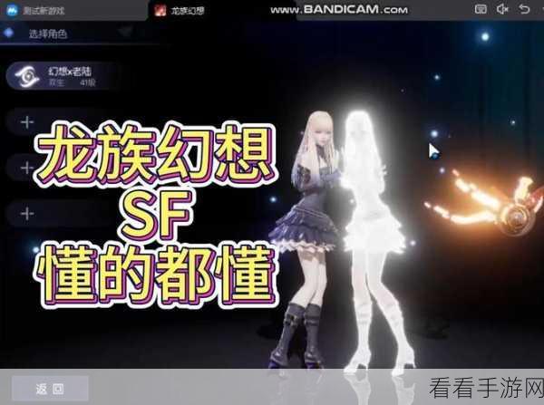 龙族幻想，双生连招秘籍 核心搭配全揭秘