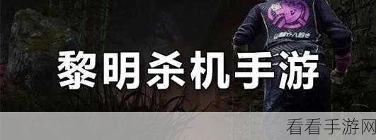 手游攻略，揭秘黎明前20分钟高效回血策略，助你称霸战场