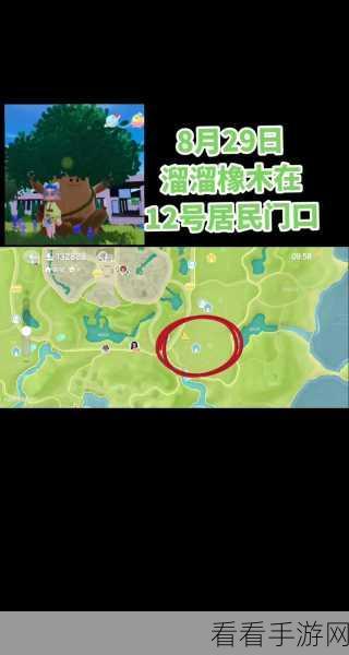 心动小镇探秘，溜溜橡木隐藏位置全解析及寻宝攻略