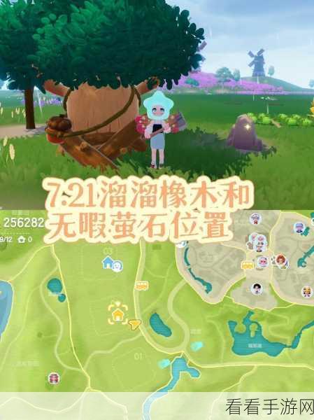 心动小镇探秘，溜溜橡木隐藏位置全解析及寻宝攻略