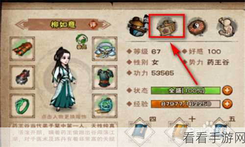 烟雨江湖高手进阶，厉若海角色加点与培养策略全揭秘