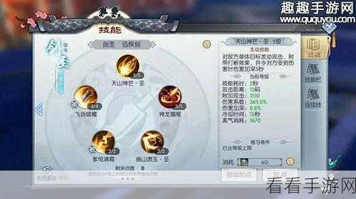 武林外传手游，侠影角色深度剖析与极速练级秘籍