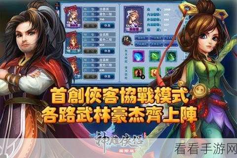 武林秘籍大揭秘，豪侠结交最优策略与角色速成指南