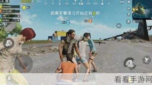 曼陀罗游戏高手进阶，深度攻略与必胜技巧揭秘