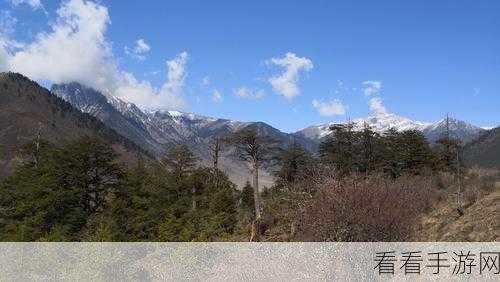 雪山秘境探宝，手工星球绝世奇珍植物大揭秘