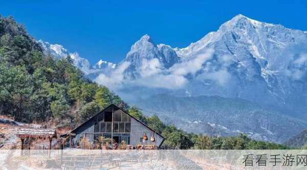 雪山秘境探宝，手工星球绝世奇珍植物大揭秘