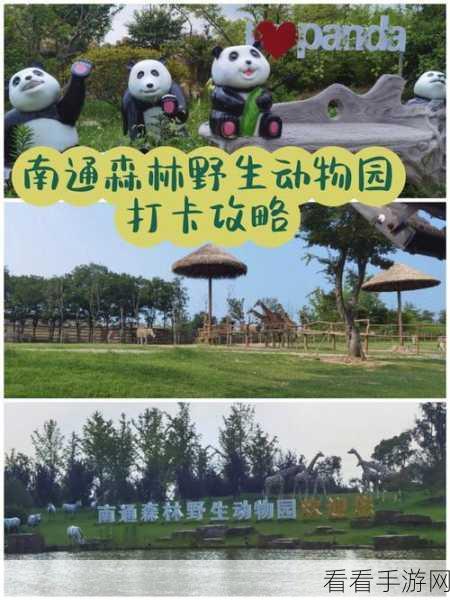 动物森林攻略缺失引热议，玩家直呼求指点！