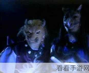 兽皇之巅，征服不一样传说2爬塔挑战全攻略