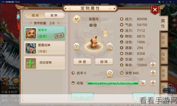 问道手游深度攻略，兰若寺副本高效通关秘籍，队伍配置与战术全解析