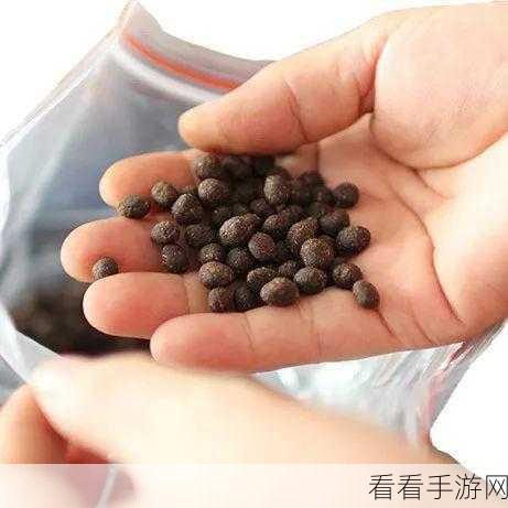 探秘九花玉露丸，手游中的神奇灵丹妙药