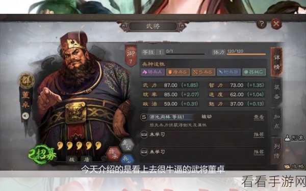 国志战略版深度攻略,董卓领衔,高效开荒武将搭配秘籍