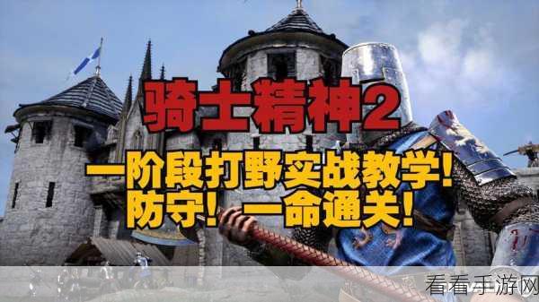 骑士精神2高手进阶，精准踢击技巧揭秘与实战应用