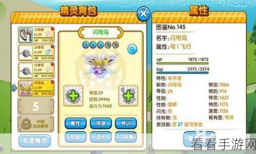 口袋妖怪VS大升级，深度优化攻略，打造极致游戏体验