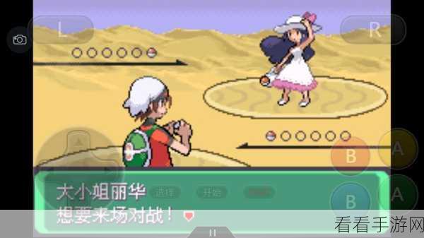 口袋妖怪VS大升级，深度优化攻略，打造极致游戏体验