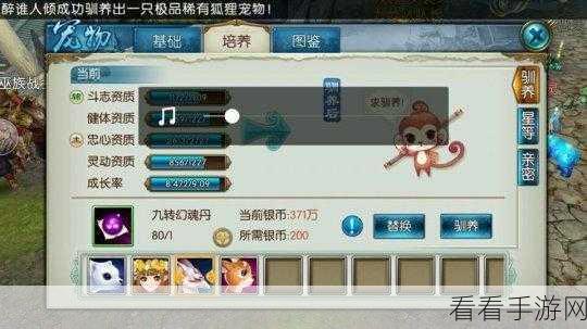 诛仙手游，宠物养成秘籍全公开，开启萌宠相伴成长之旅