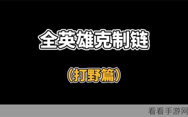 王者荣耀深度攻略，揭秘下路英雄克制链，助你赛场制霸
