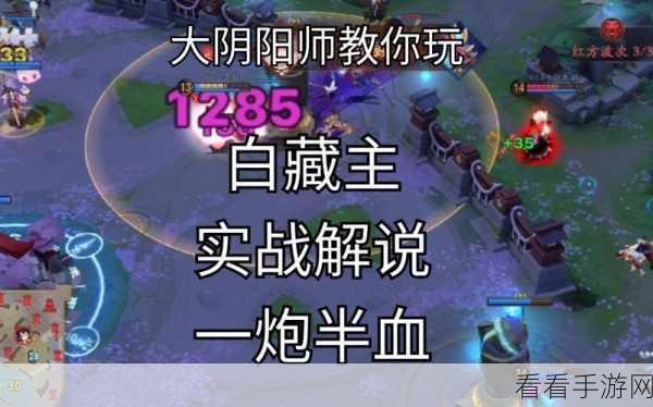 决战平安京深度解析，白藏主技能全揭秘及战场应用