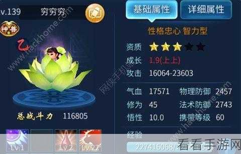 揭秘酒店美女手游致胜秘籍，高手技巧与实战攻略