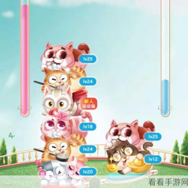 叠猫猫活动全攻略，超级猫获取秘籍大揭秘