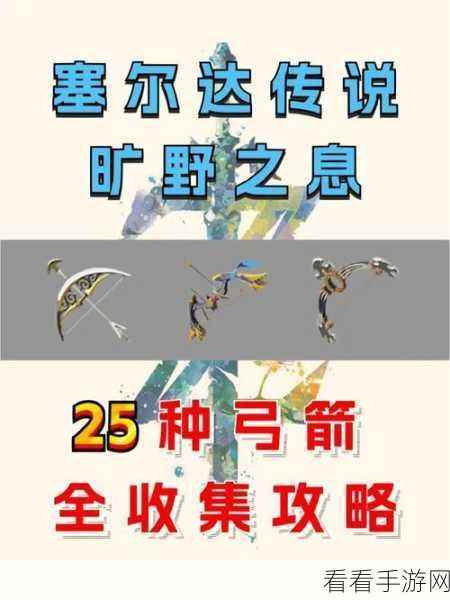 塞尔达雪球刷钱秘籍，玩转技巧日进斗金