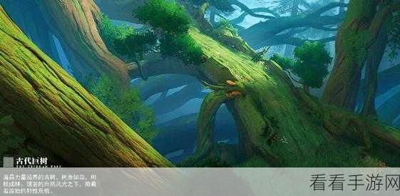 晶核探险指南，揭秘古代巨树宝箱的精准位置与寻宝攻略